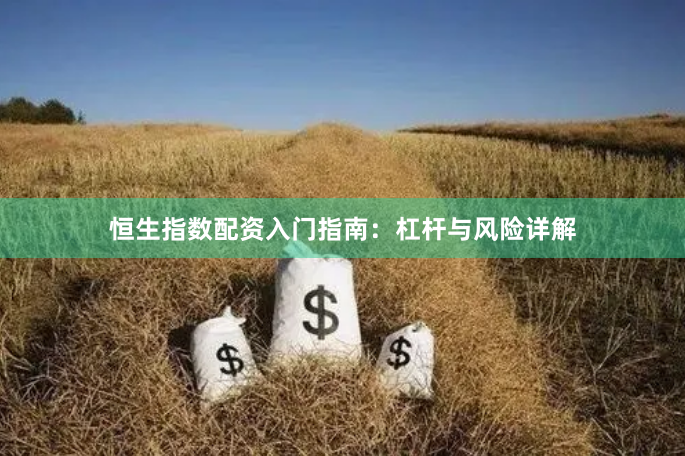 恒生指数配资入门指南：杠杆与风险详解